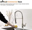 APPASO Commercial Kitchen Faucet Pull Down Sprayer with Soap Dispenser - Stainless Steel Brushed Nickel High Arc Tall Modern Single Handle Spring Kitc